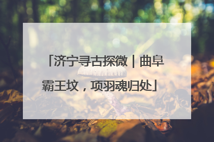 济宁寻古探微｜曲阜霸王坟，项羽魂归处