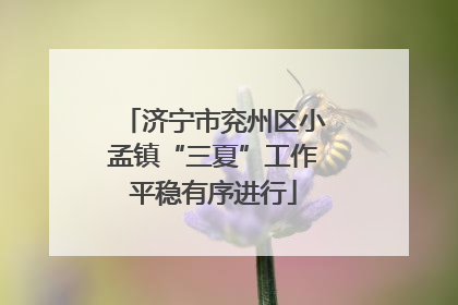 济宁市兖州区小孟镇“三夏”工作平稳有序进行