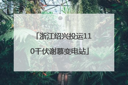 浙江绍兴投运110千伏谢慕变电站