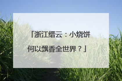浙江缙云：小烧饼何以飘香全世界？