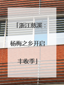 浙江慈溪：杨梅之乡开启丰收季