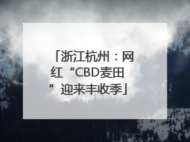 浙江杭州：网红“CBD麦田”迎来丰收季