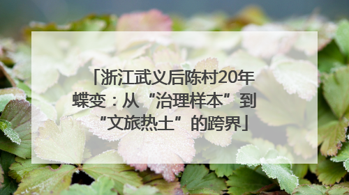 浙江武义后陈村20年蝶变:从“治理样本”到“文旅热土”的跨界