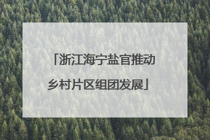 浙江海宁盐官推动乡村片区组团发展