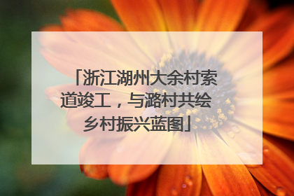 浙江湖州大余村索道竣工，与潞村共绘乡村振兴蓝图