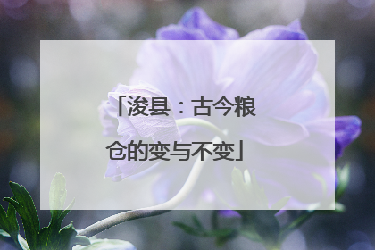 浚县：古今粮仓的变与不变