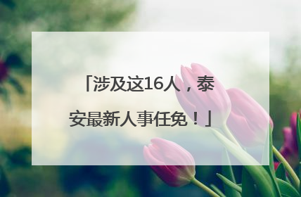 涉及这16人，泰安最新人事任免！