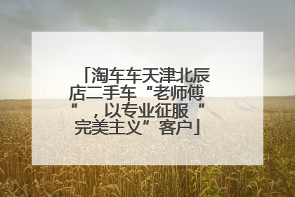 淘车车天津北辰店二手车“老师傅”，以专业征服“完美主义”客户