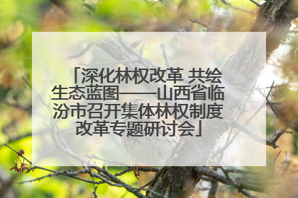 深化林权改革 共绘生态蓝图——山西省临汾市召开集体林权制度改革专题研讨会