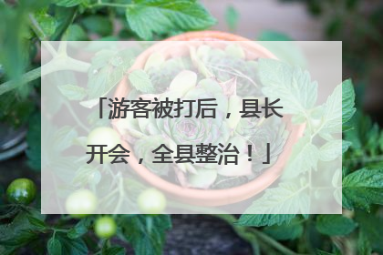 游客被打后，县长开会，全县整治！