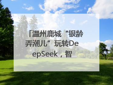 温州鹿城“银龄弄潮儿”玩转DeepSeek，智慧生活触手可及