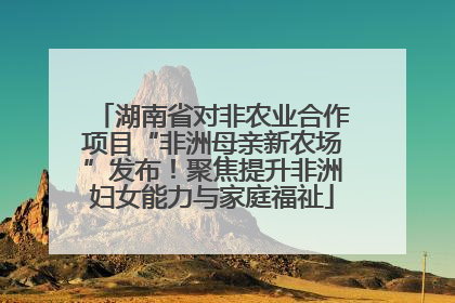 湖南省对非农业合作项目“非洲母亲新农场”发布！聚焦提升非洲妇女能力与家庭福祉