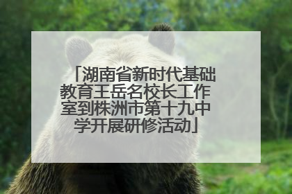 湖南省新时代基础教育王岳名校长工作室到株洲市第十九中学开展研修活动