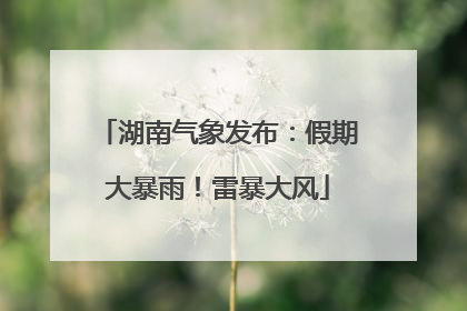 湖南气象发布：假期大暴雨！雷暴大风