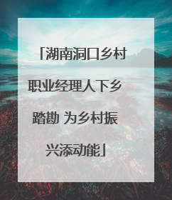 湖南洞口乡村职业经理人下乡踏勘 为乡村振兴添动能