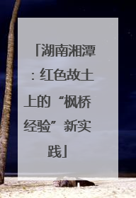 湖南湘潭：红色故土上的“枫桥经验”新实践