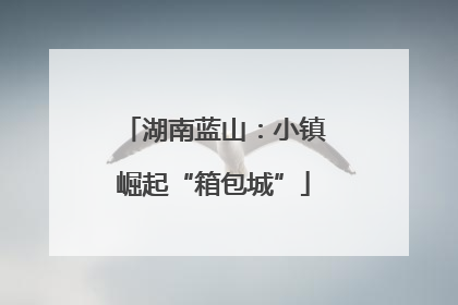 湖南蓝山：小镇崛起“箱包城”