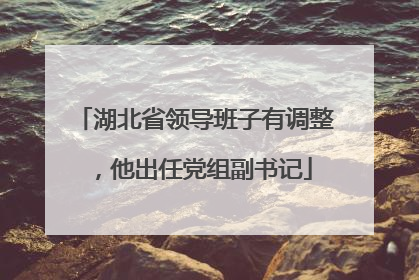 湖北省领导班子有调整，他出任党组副书记