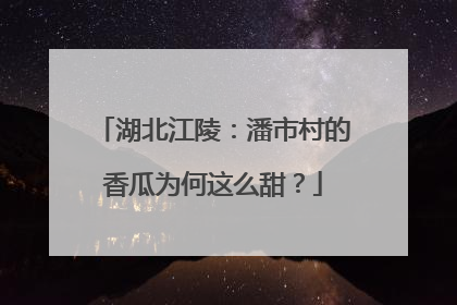 湖北江陵：潘市村的香瓜为何这么甜？