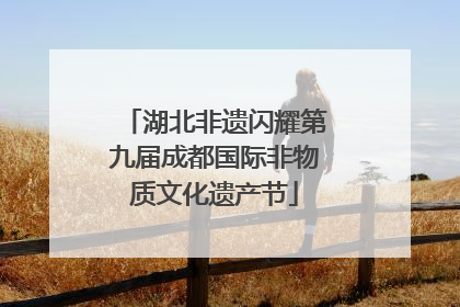 湖北非遗闪耀第九届成都国际非物质文化遗产节
