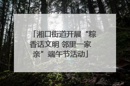 湘口街道开展“粽香话文明 邻里一家亲”端午节活动