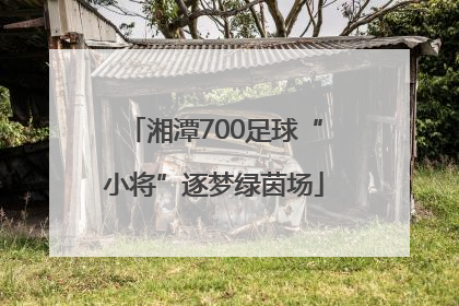 湘潭700足球“小将”逐梦绿茵场