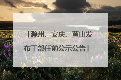 滁州、安庆、黄山发布干部任前公示公告