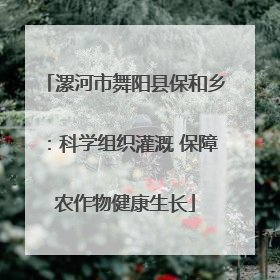 漯河市舞阳县保和乡：科学组织灌溉 保障农作物健康生长