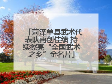 菏泽单县武术代表队再创佳绩 持续擦亮“全国武术之乡”金名片