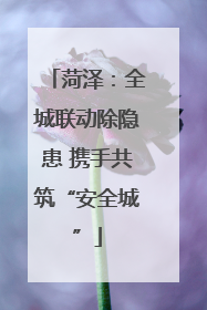 菏泽：全城联动除隐患 携手共筑“安全城”