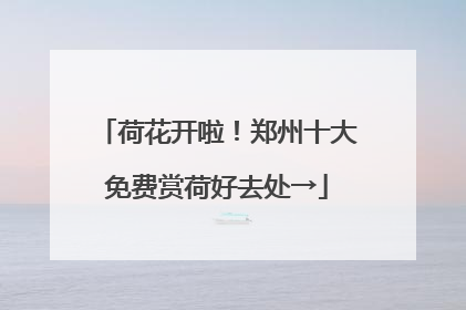 荷花开啦！郑州十大免费赏荷好去处→