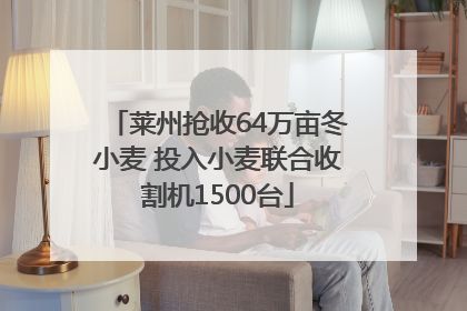 莱州抢收64万亩冬小麦 投入小麦联合收割机1500台