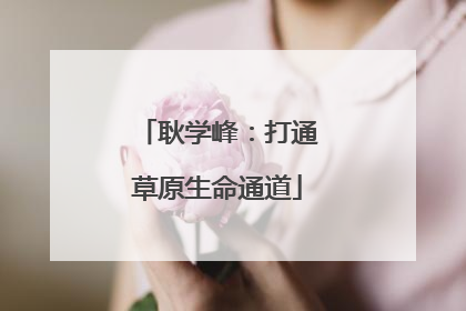 耿学峰：打通草原生命通道