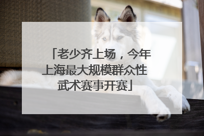 老少齐上场，今年上海最大规模群众性武术赛事开赛
