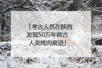 考古人员在陕西发现50万年前古人类烤肉痕迹