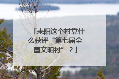 耒阳这个村靠什么获评“第七届全国文明村”？