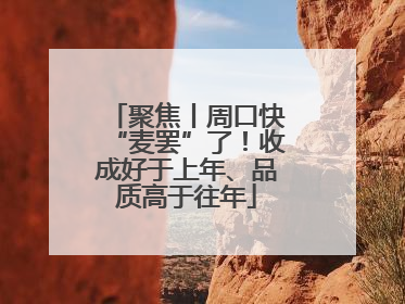 聚焦丨周口快“麦罢”了！收成好于上年、品质高于往年
