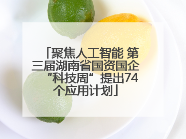 聚焦人工智能 第三届湖南省国资国企“科技周”提出74个应用计划