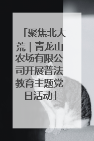 聚焦北大荒｜青龙山农场有限公司开展普法教育主题党日活动