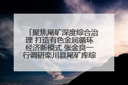 聚焦尾矿深度综合治理 打造有色金属循环经济新模式 张金良一行调研栾川县尾矿库综合治理工作