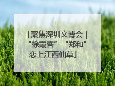聚焦深圳文博会｜“徐霞客”“郑和”恋上江西仙草