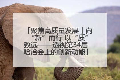 聚焦高质量发展丨向“新”而行 以“质”致远——透视第34届哈洽会上的创新动能