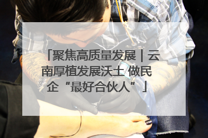 聚焦高质量发展｜云南厚植发展沃土 做民企“最好合伙人”