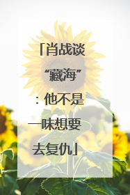 肖战谈“藏海”：他不是一味想要去复仇