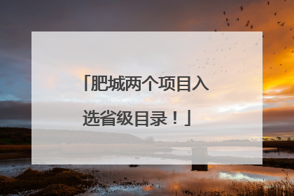 肥城两个项目入选省级目录！