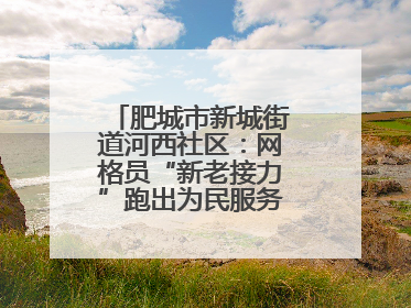 肥城市新城街道河西社区：网格员“新老接力”跑出为民服务“加速度”