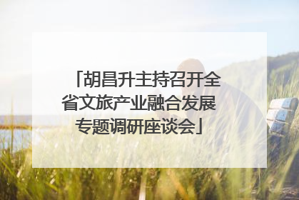 胡昌升主持召开全省文旅产业融合发展专题调研座谈会