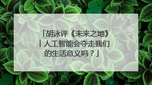 胡泳评《未来之地》︱人工智能会夺走我们的生活意义吗？