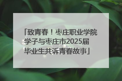 致青春！枣庄职业学院学子与枣庄市2025届毕业生共诉青春故事