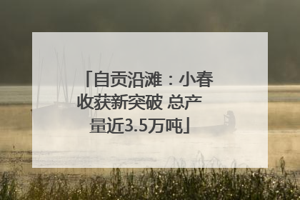 自贡沿滩：小春收获新突破 总产量近3.5万吨